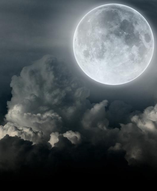 ‘How Solitary Is the Moon’ - Poetry International